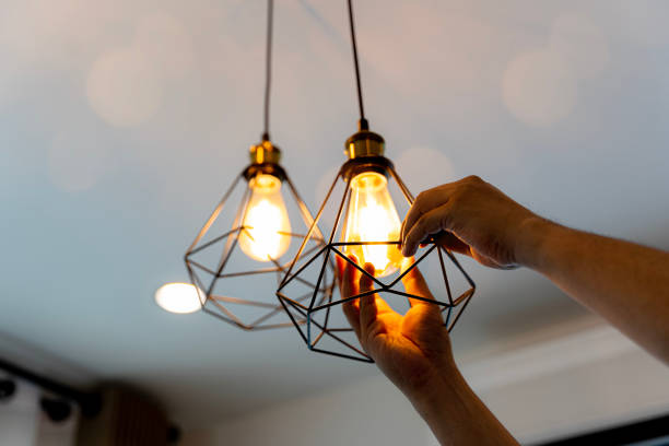 Best Outdoor Lighting Installation  in Berwyn Heights, MD